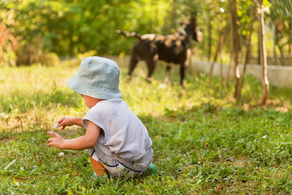 Baby in nature